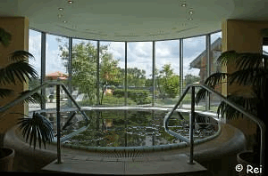 Whirl-Pool