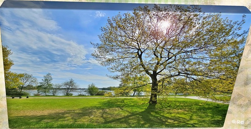 Allerpark