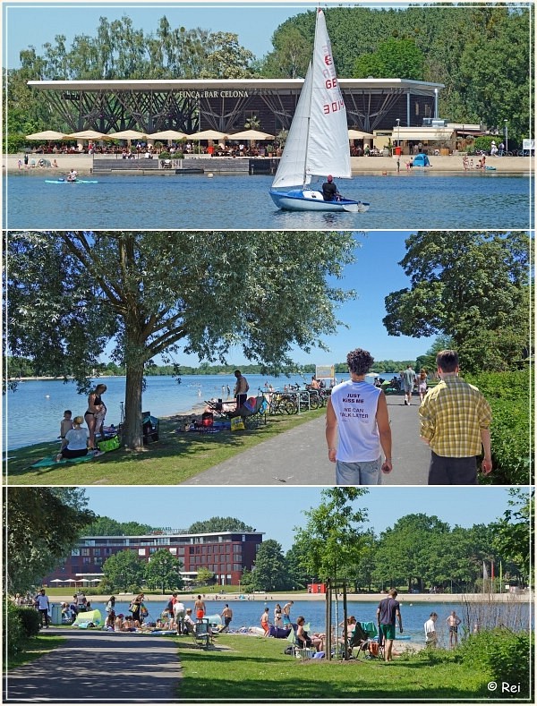  KI im Allerpark