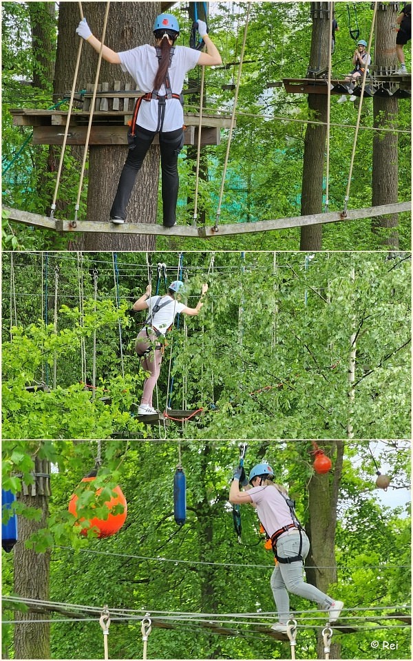 Hochseil-Kletterwald