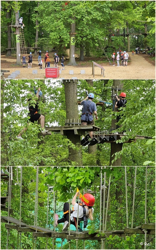 Hochseil-Kletterwald