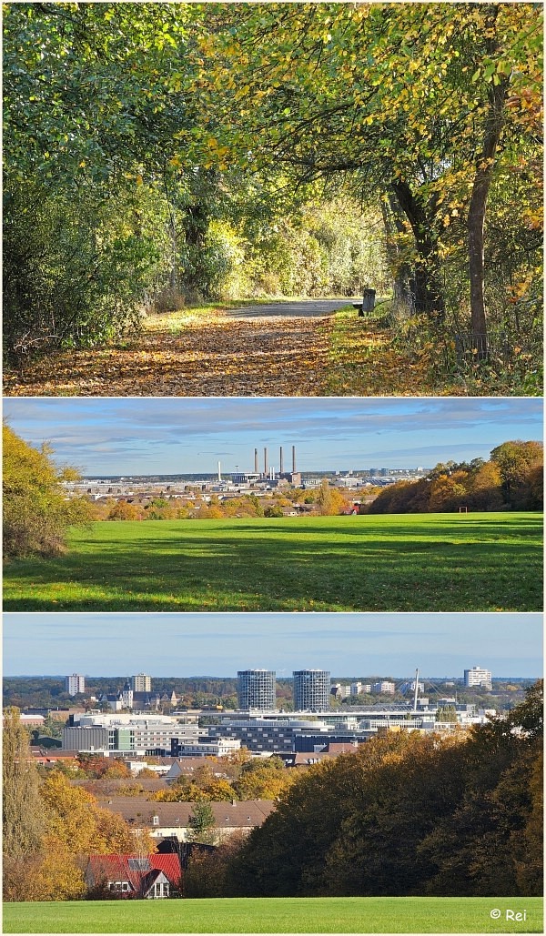 Blick vom Klieversberg