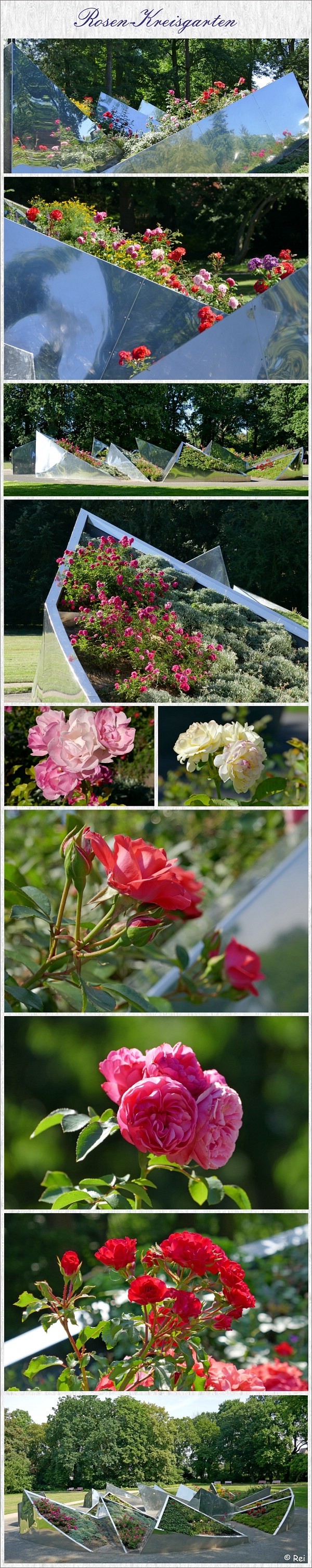 Rosen-Kreisgarten Schloss Wolfsburg