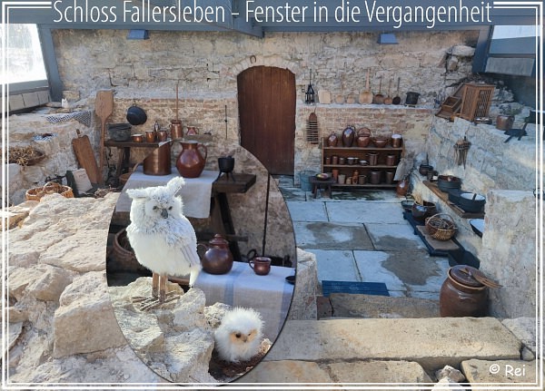 Schloss Fallersleben - Fenster in die Vergangenheit 02-2023