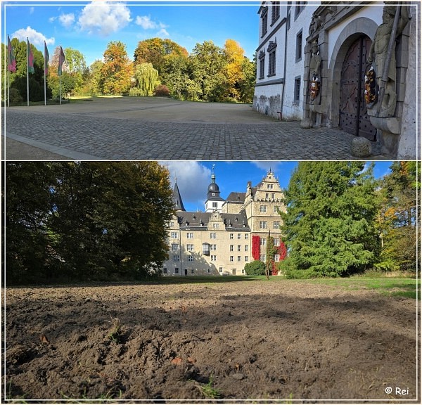 Schne Gre aus Botsuana