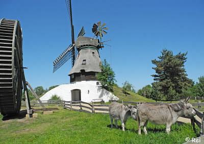 Mühlenmuseum Gifhorn