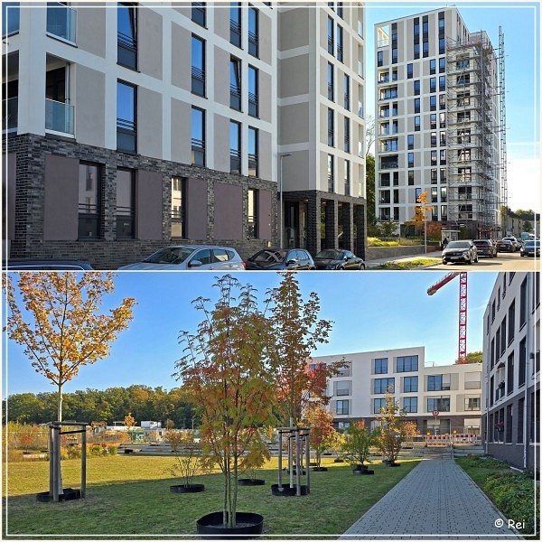 Hellwinkel Terrassen 2024